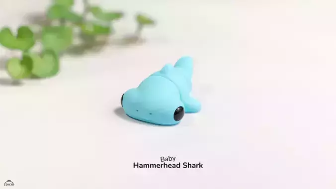 Baby Hammerhead shark