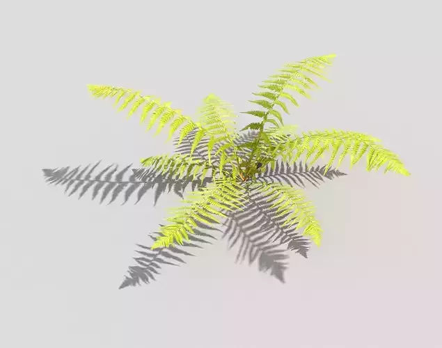 low poly fern plant