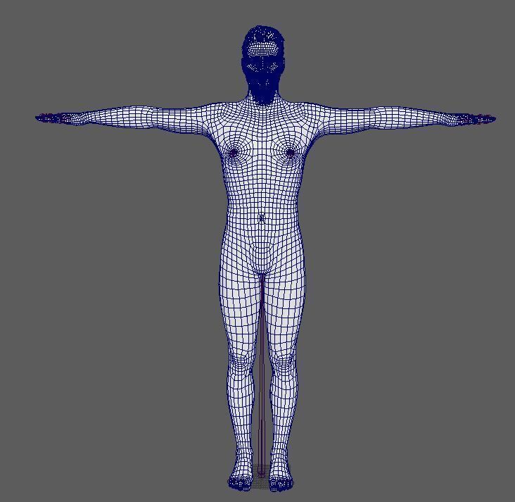 Cameron Fuller Character Low-poly 3D model_26