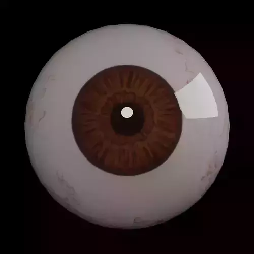 Realistic Human Eye 3D model