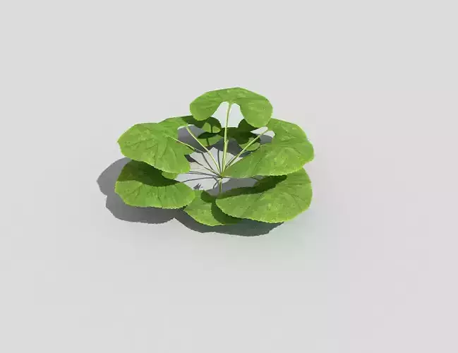 Low poly Plant