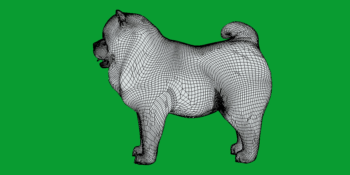 Chow Chow Dog Low-poly 3D model_23