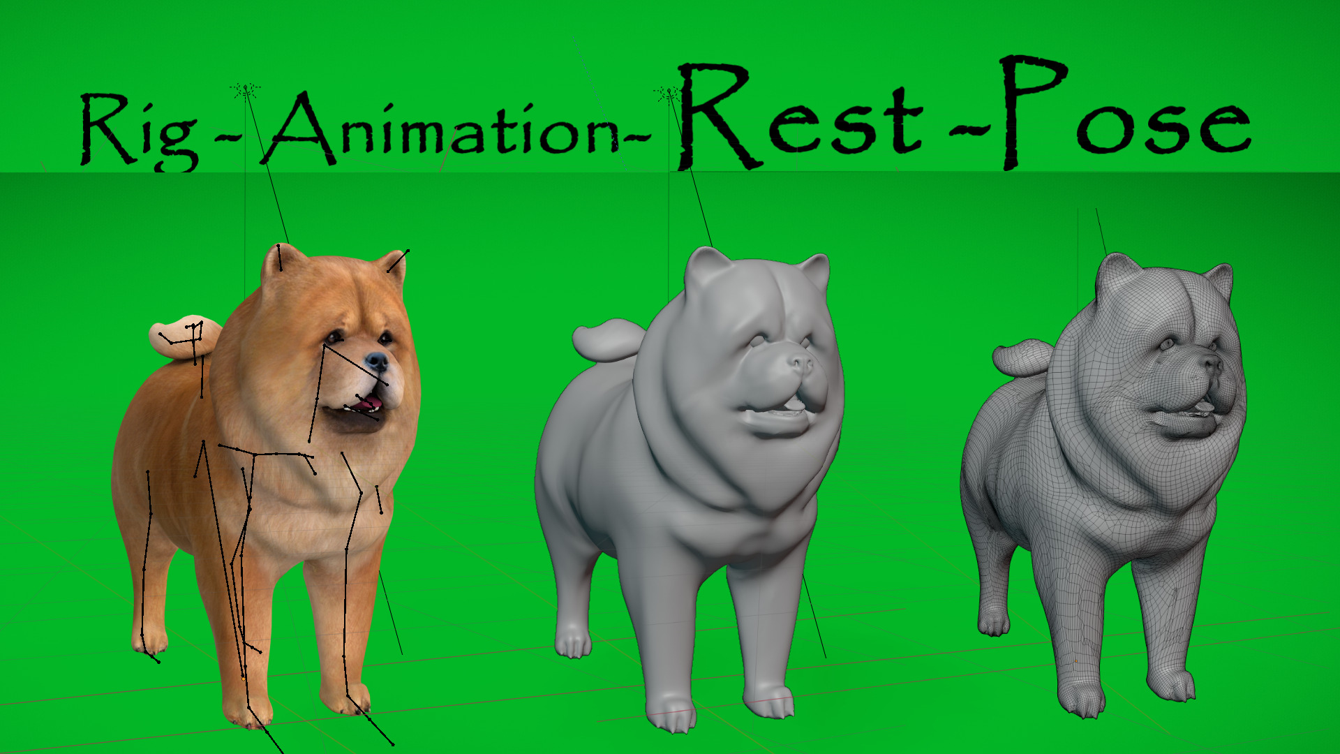 Chow Chow Dog Low-poly 3D model_4