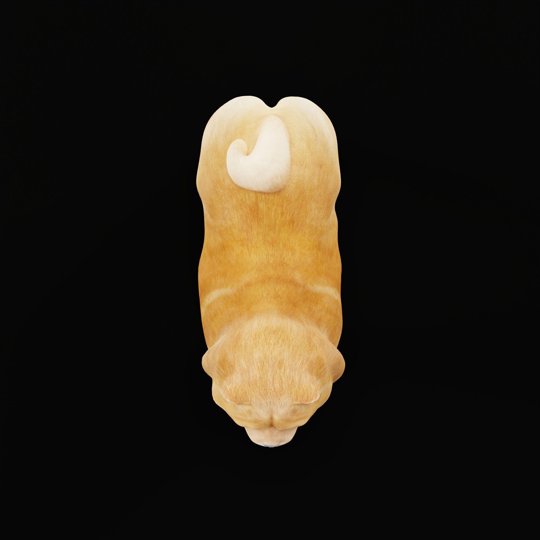 Chow Chow Dog Low-poly 3D model_45