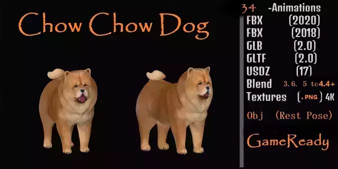Chow Chow Dog