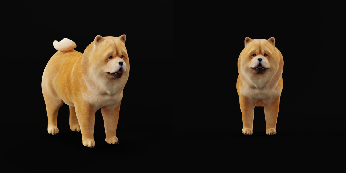 Chow Chow Dog Low-poly 3D model_40