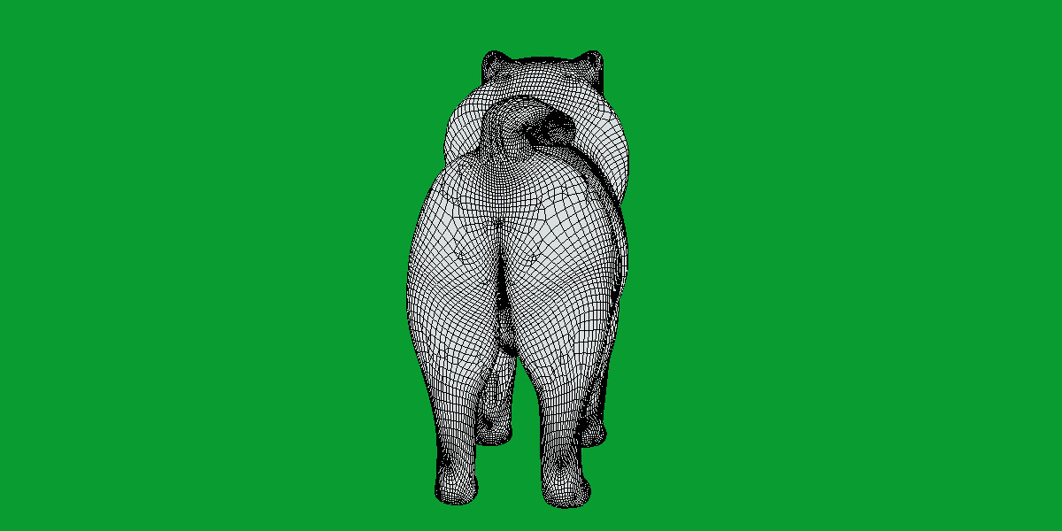Chow Chow Dog Low-poly 3D model_24