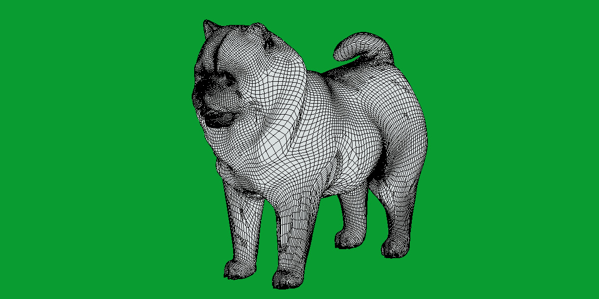 Chow Chow Dog Low-poly 3D model_21
