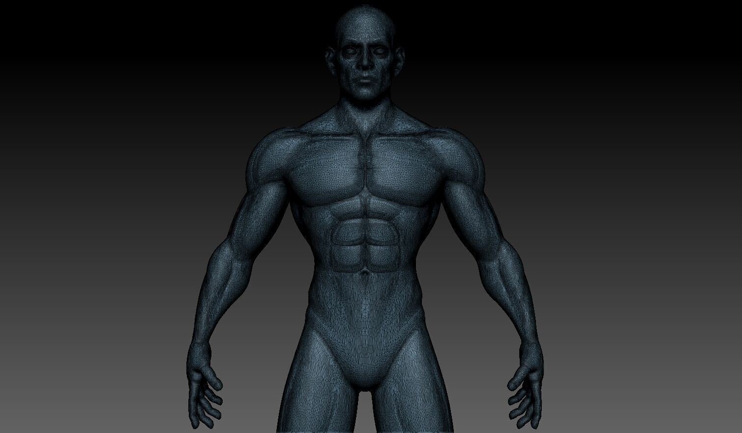 Stylized Male Base Mesh No Retopology No UVs 3D model_4
