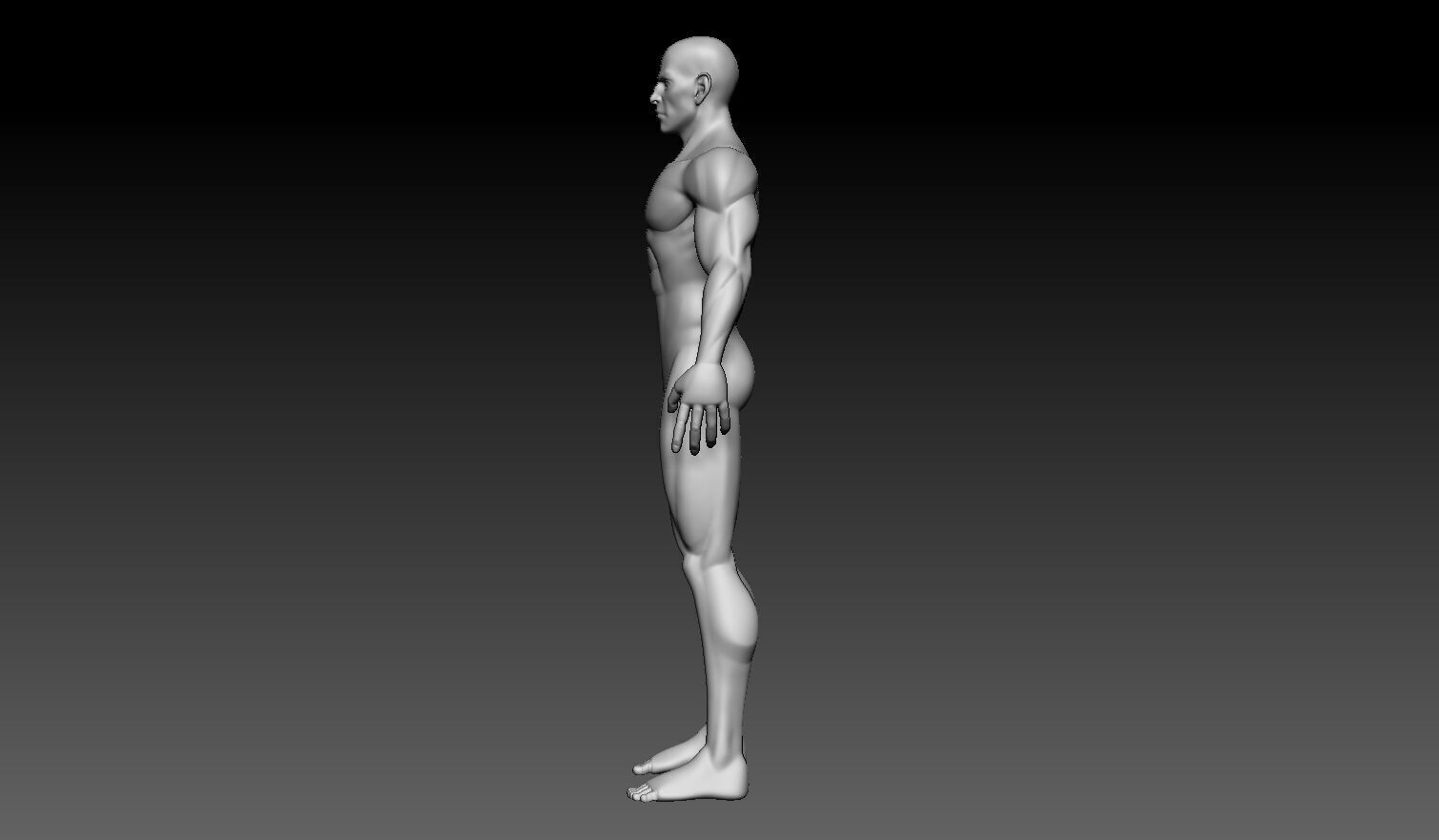 Stylized Male Base Mesh No Retopology No UVs 3D model_1