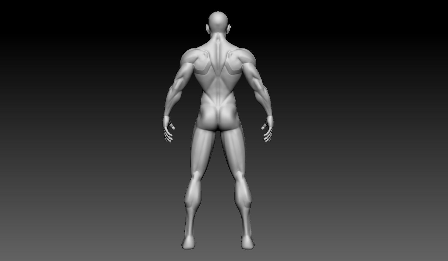Stylized Male Base Mesh No Retopology No UVs 3D model_2