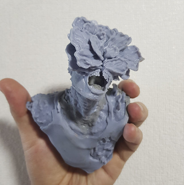 collection bustos package The Last Of Us _5