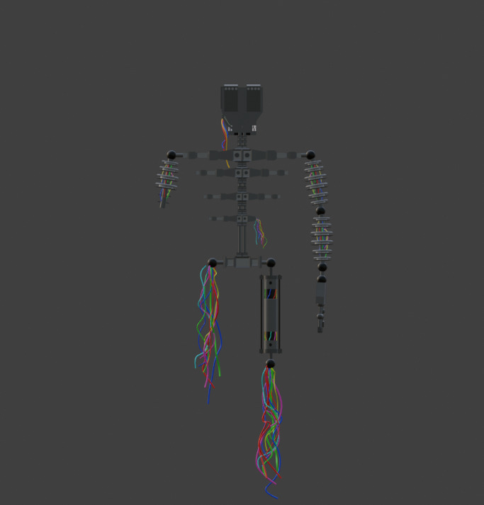 Endoskeleton Low-poly 3D model_10