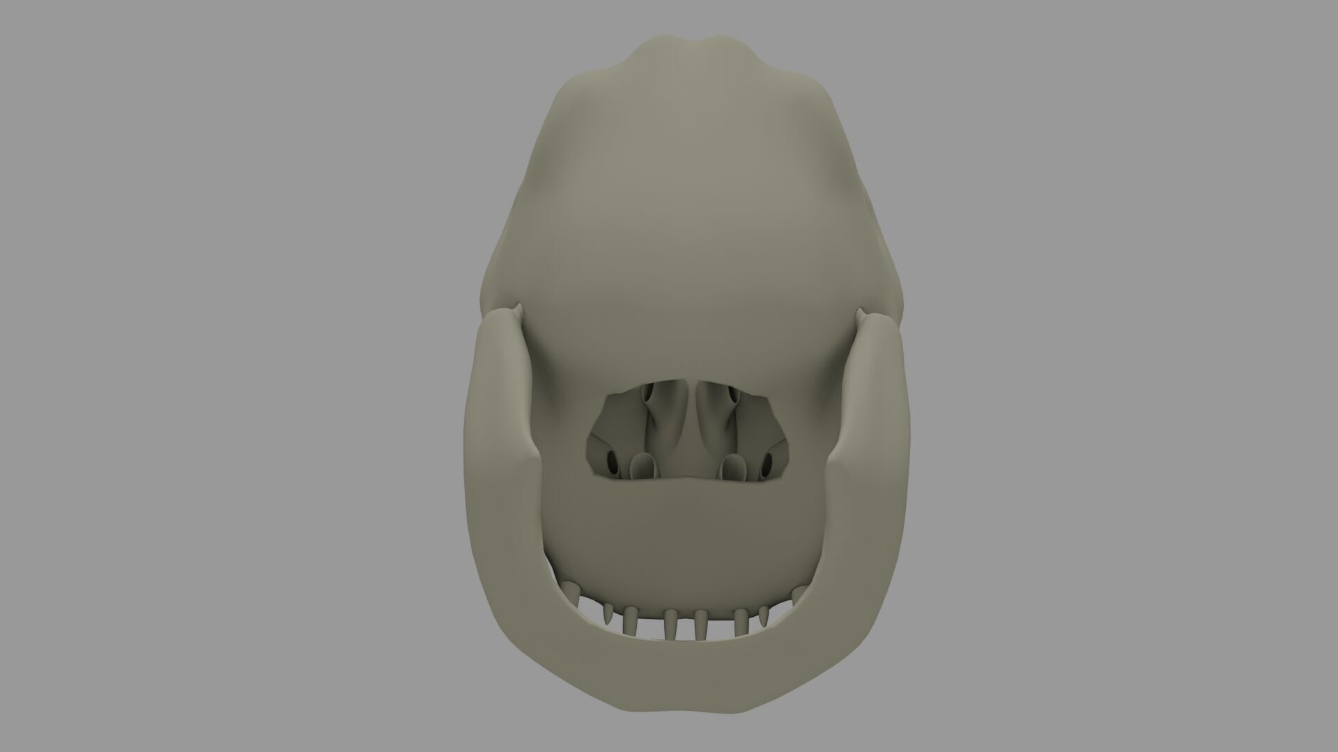 3D Printable Alien Skull 3D print model_2