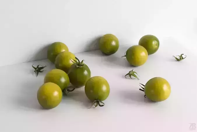 Tomato