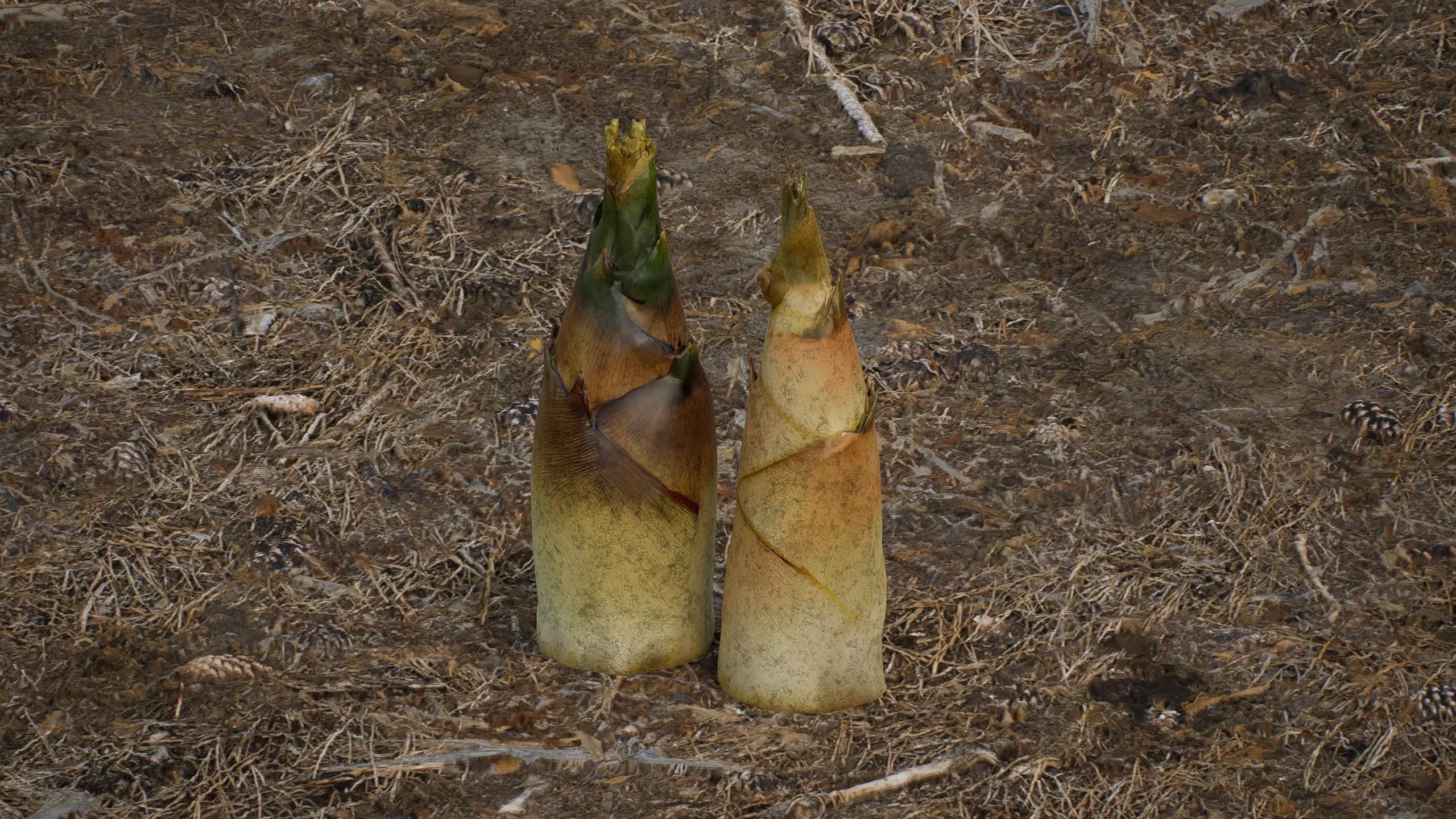 Bamboo shoots Low-poly 3D model