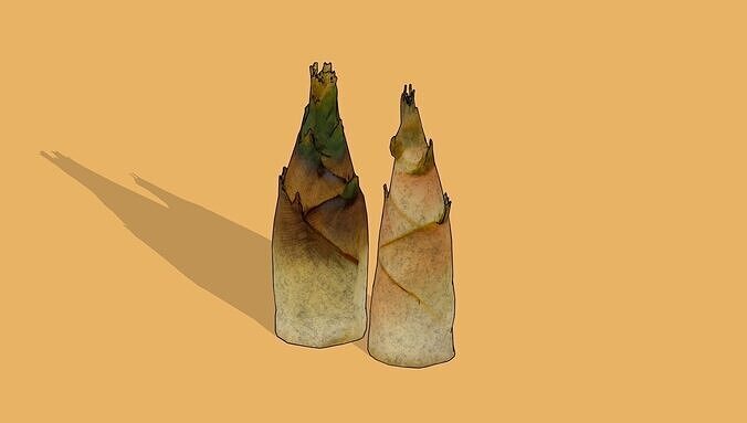 Bamboo shoots Low-poly 3D model 2