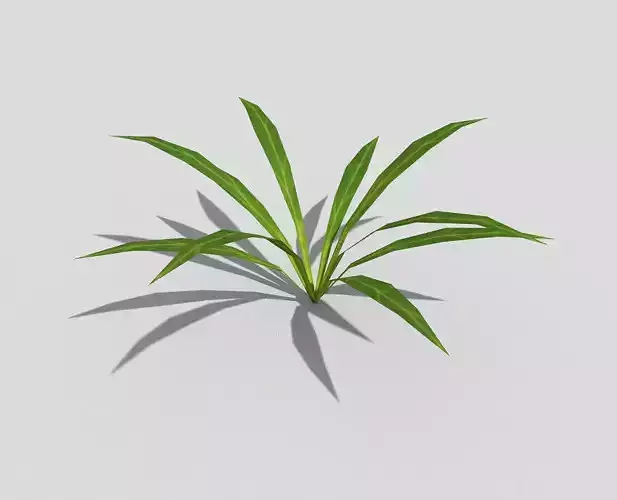 Low poly Plant
