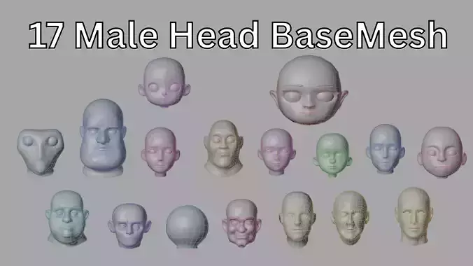 17 Unique Variants Male Head Basemesh Pack Collection
