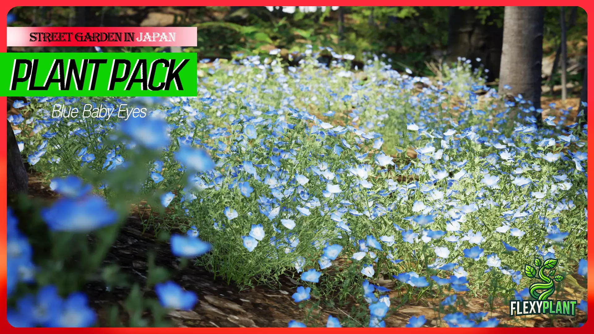 Street Garden in JAPAN - 4 Blue Baby Eyes Flower Grass Plant Low-poly 3D model