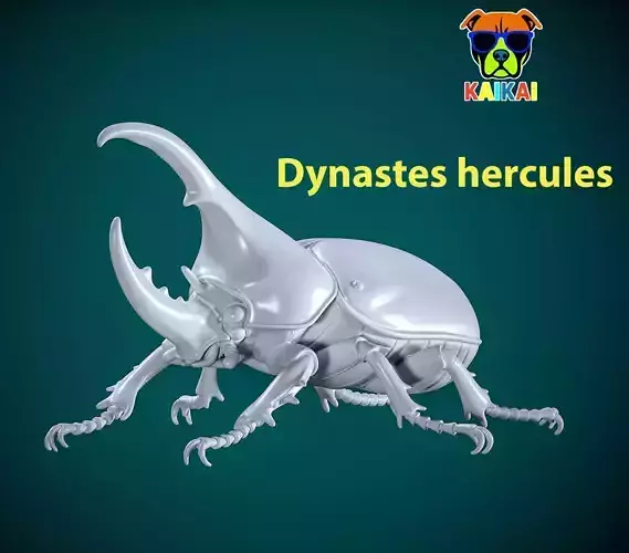 Dynastes hercules model - statue - 3D print 3D print model