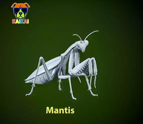 Mantis statue - insect model - decor - 3D print 3D print model