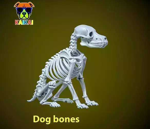 Dog Bones - Animal Bones model - statue - 3D print 3D print model