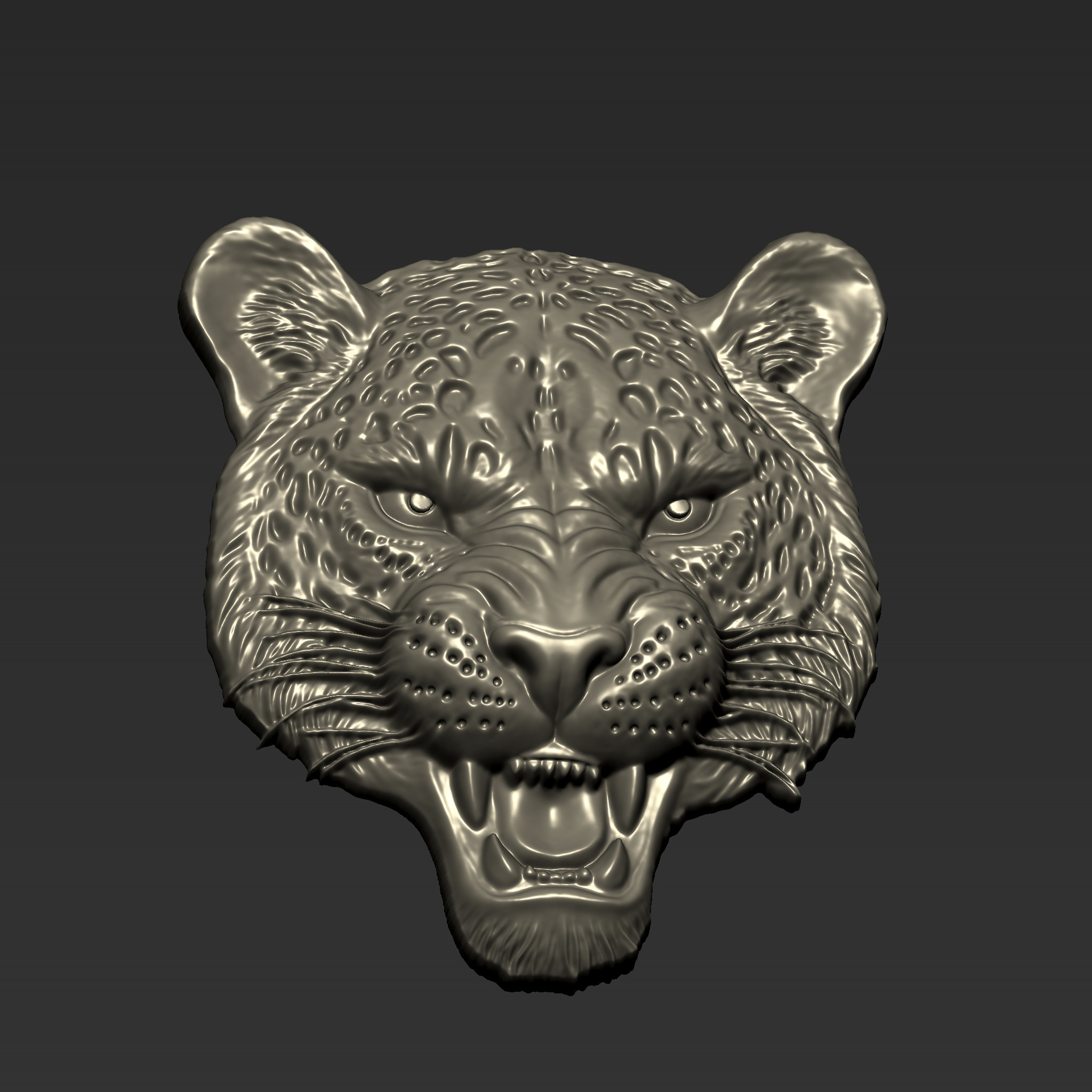 Angry Leopard Head  A73 3D print model_2