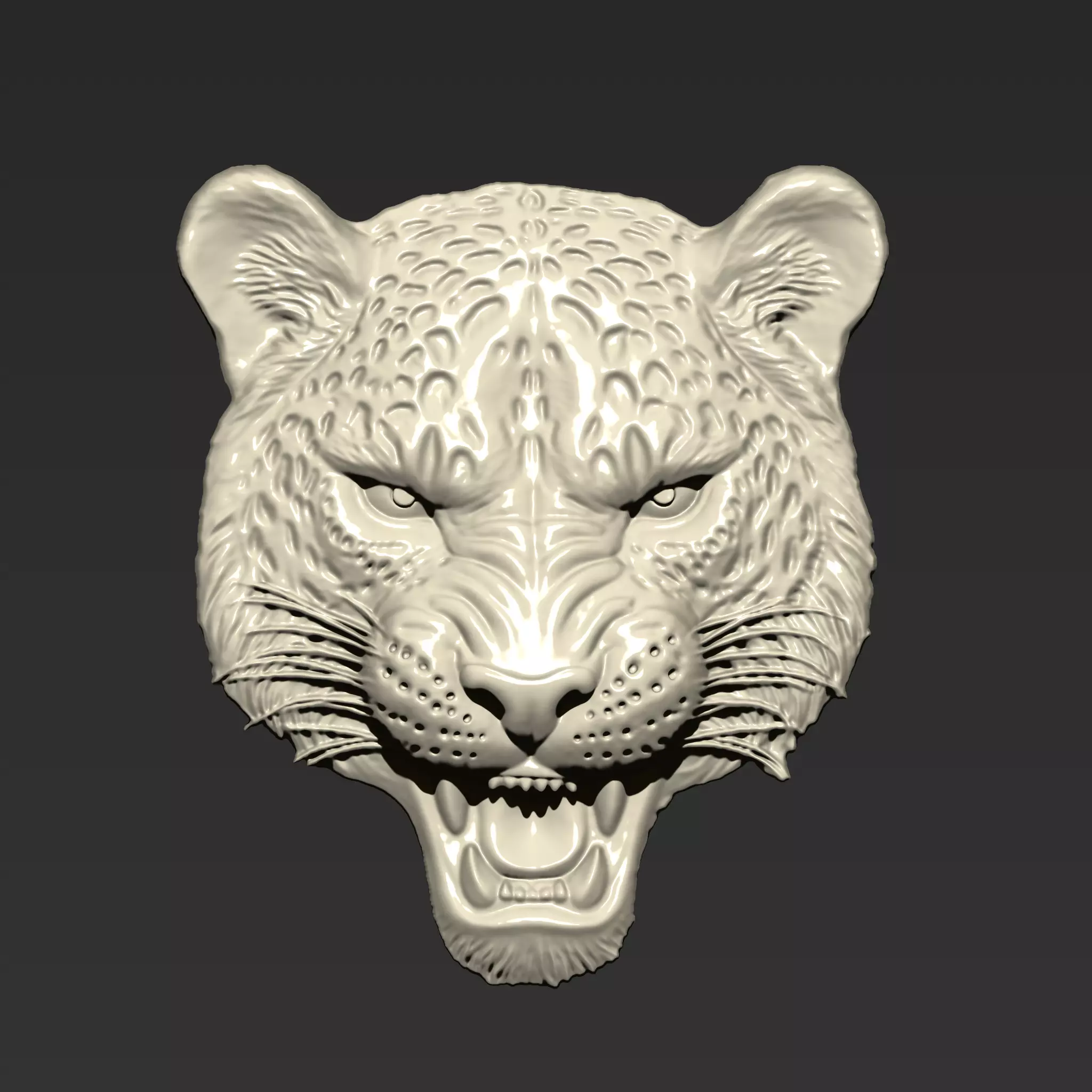 Angry Leopard Head  A73 3D print model_0