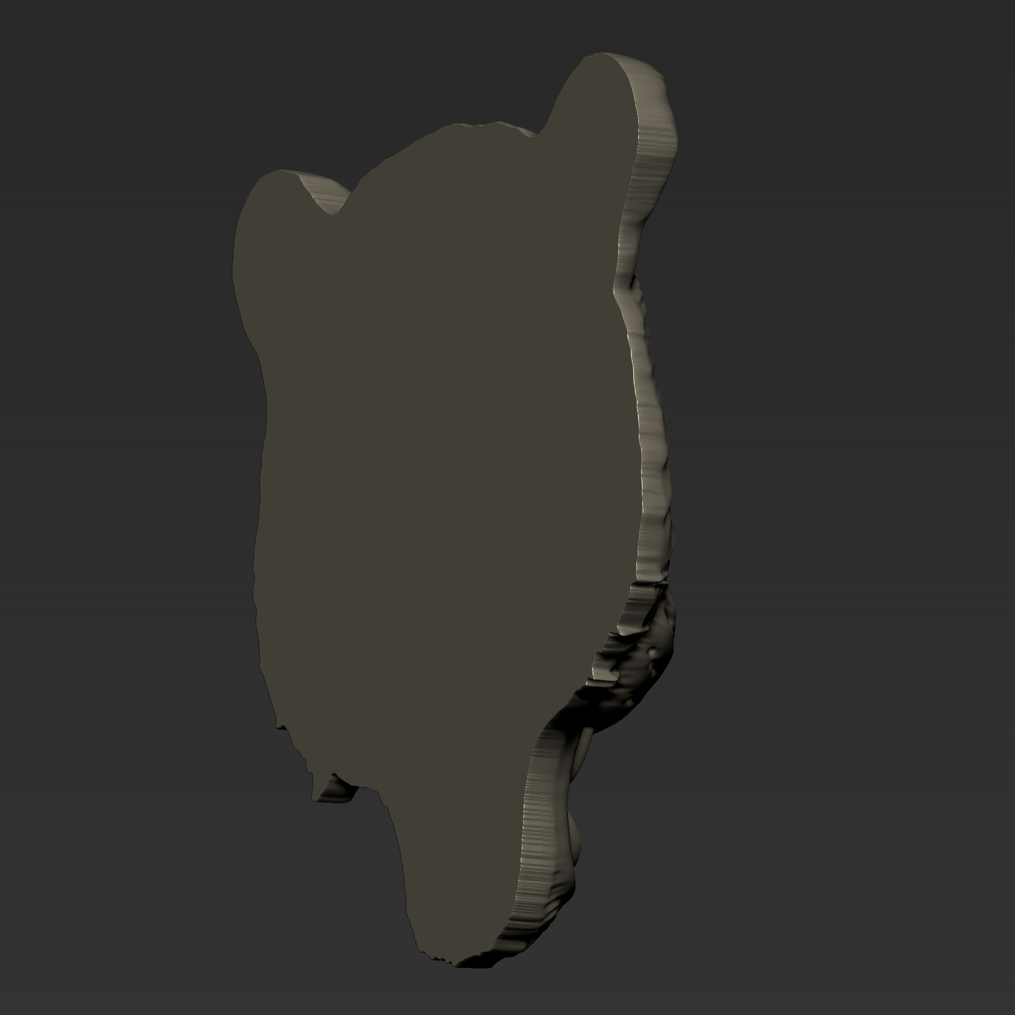 Angry Leopard Head  A73 3D print model_6