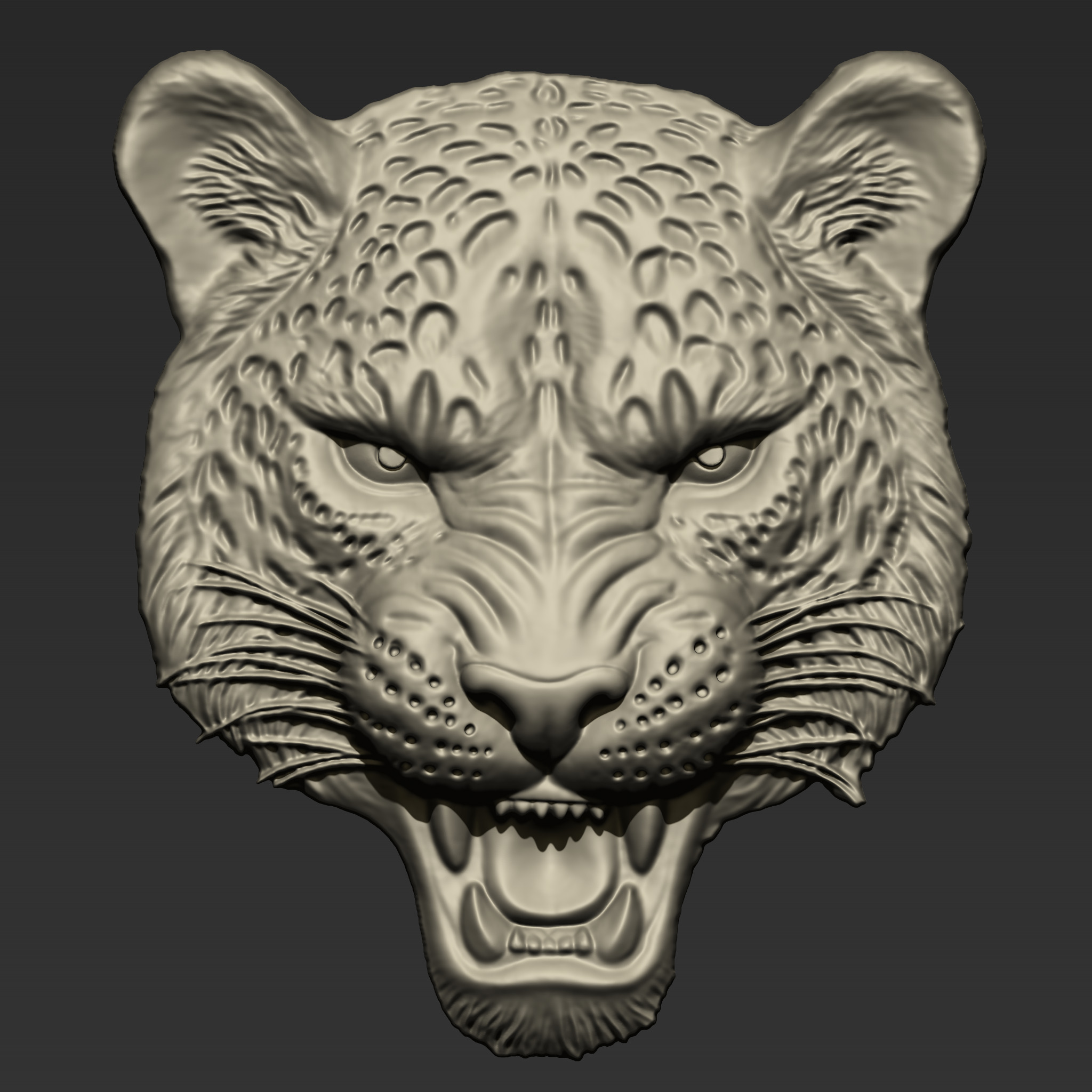 Angry Leopard Head  A73 3D print model_7