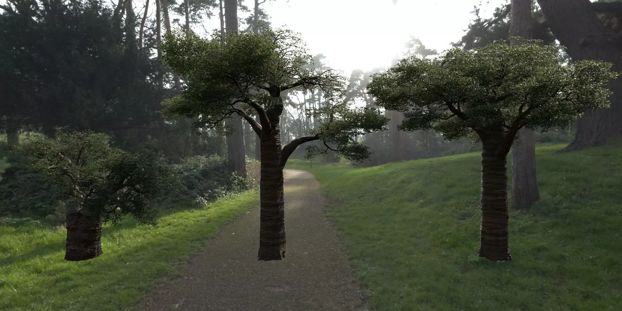 High quality Baobab Tree 01-17 Collection 3D model