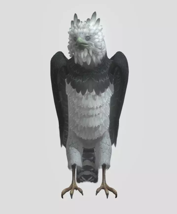 Harpy eagle Low-poly 3D model_0
