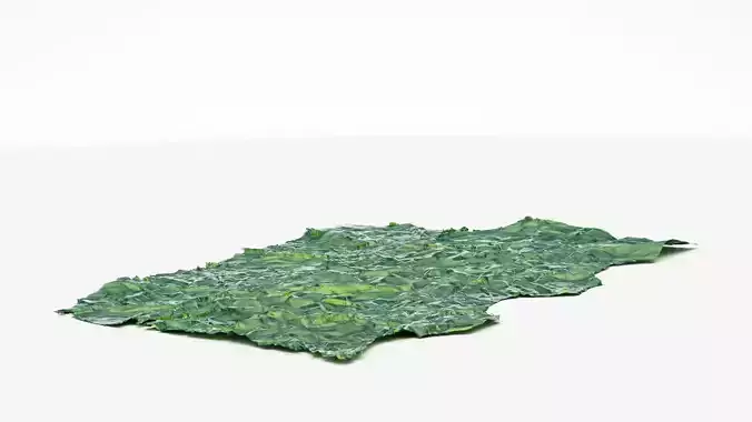 Crushed Foil 3d scan