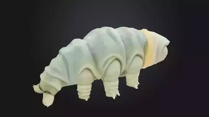 Tardigrade Wonder Toy Model STL OBJ 3D model