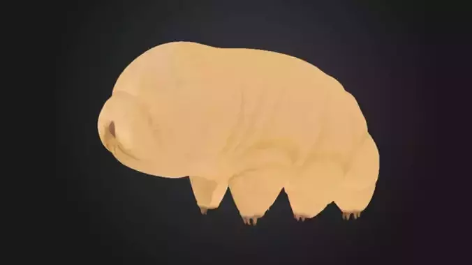 Tardigrade Microbe Toy Model STL OBJ