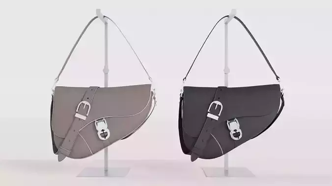 DIOR SADDLE MEN