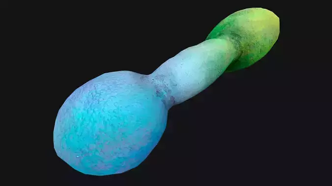 Dog Cat Pet Chew Gnawing  Zoo Toy Dumbbell