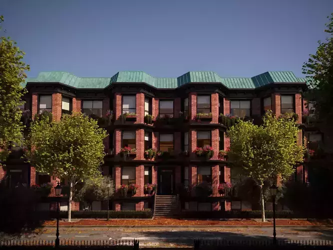 Platanus x hispanica  M 05 London plane Platanaceae