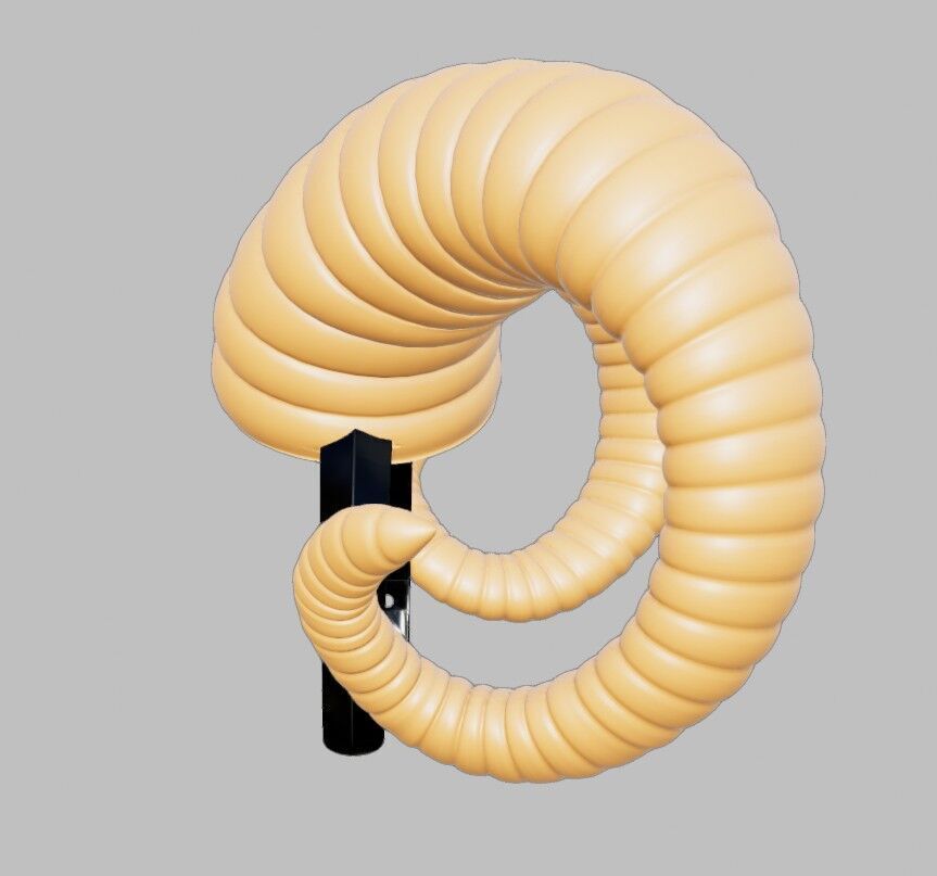 Rams Horns 3D print model_2