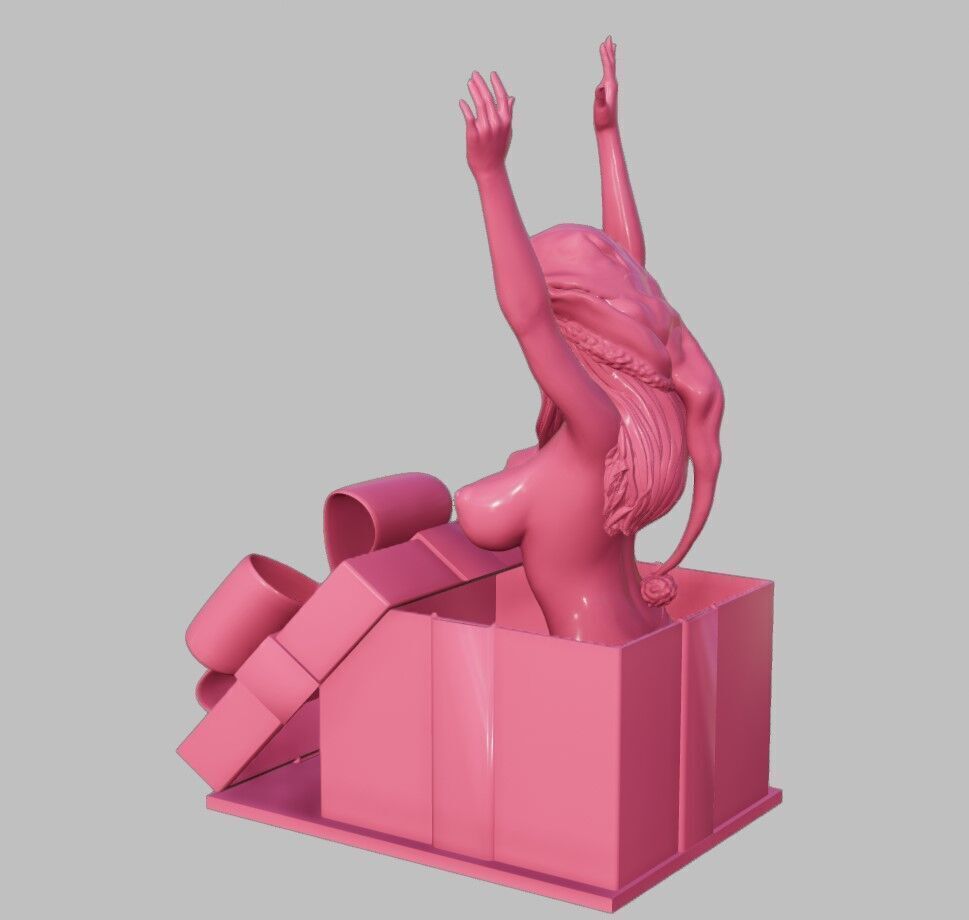 Xmas Surprise 3D print model_3