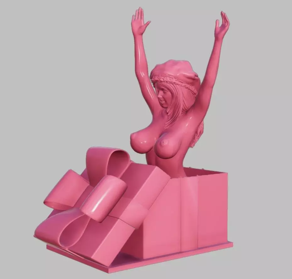 Xmas Surprise 3D print model_0