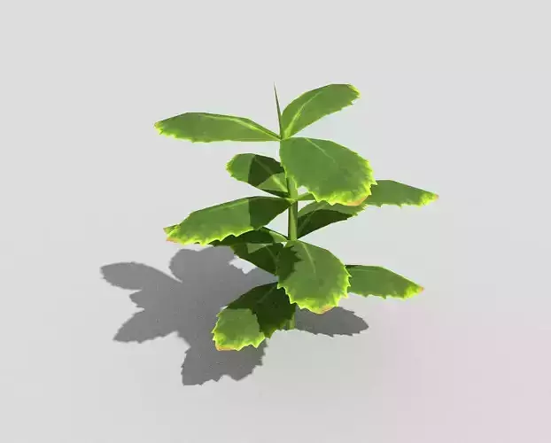 Low poly Plant