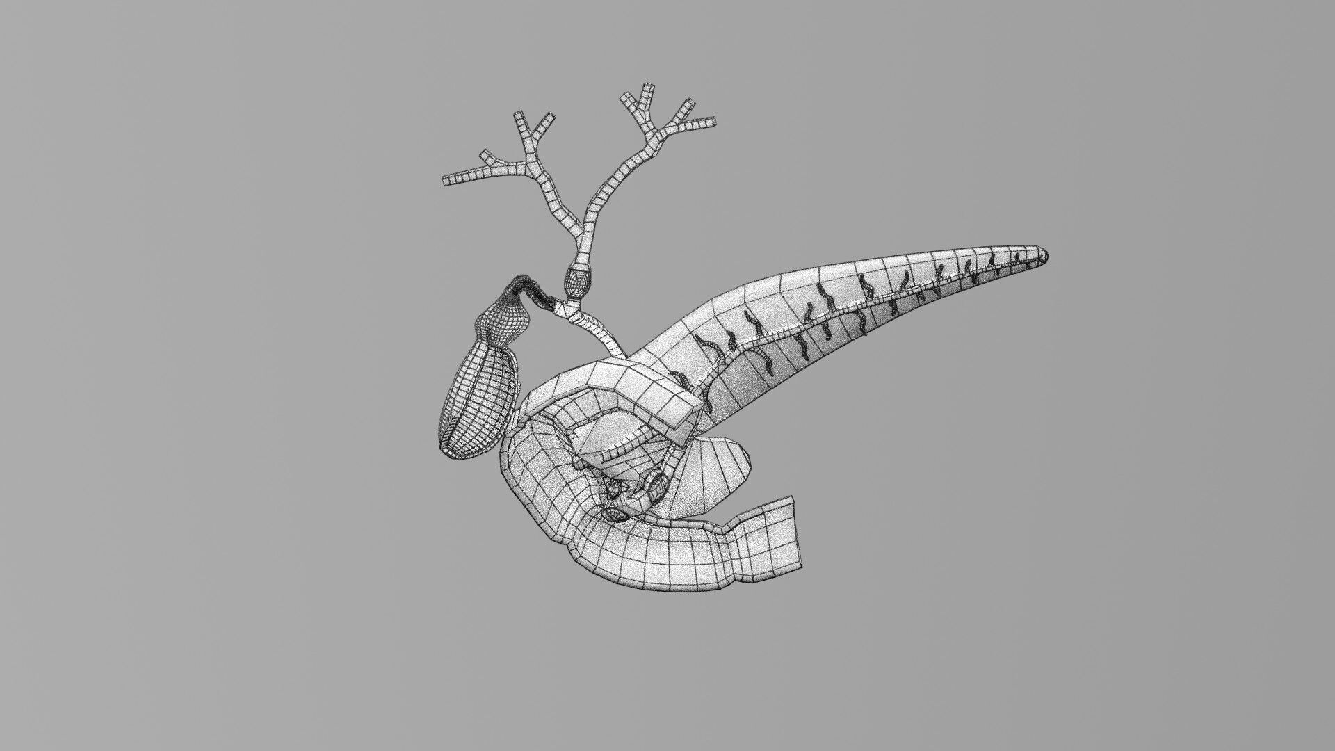 Biliary tract stone obstructions gallstone Low-poly 3D model_42