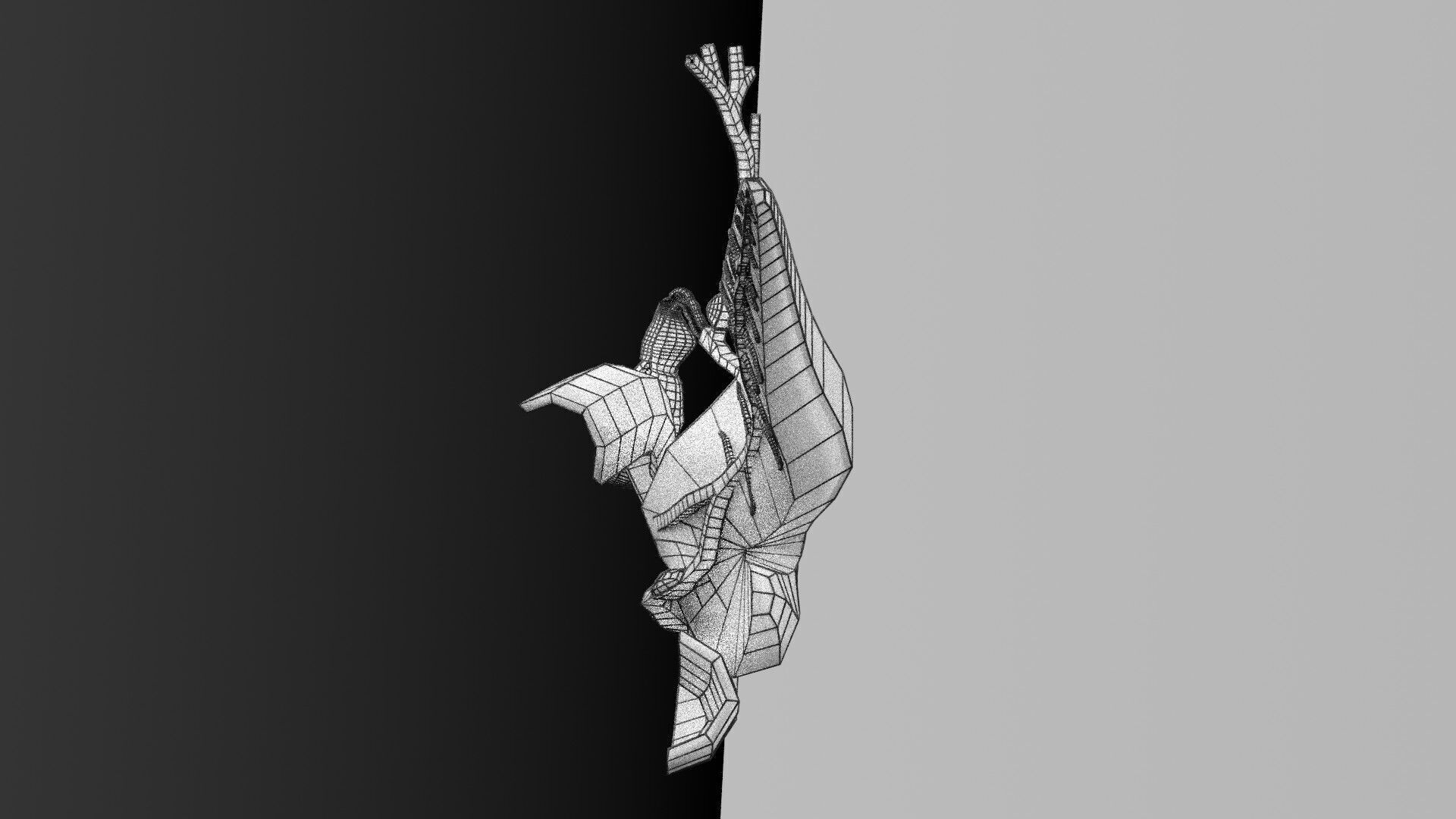 Biliary tract stone obstructions gallstone Low-poly 3D model_74