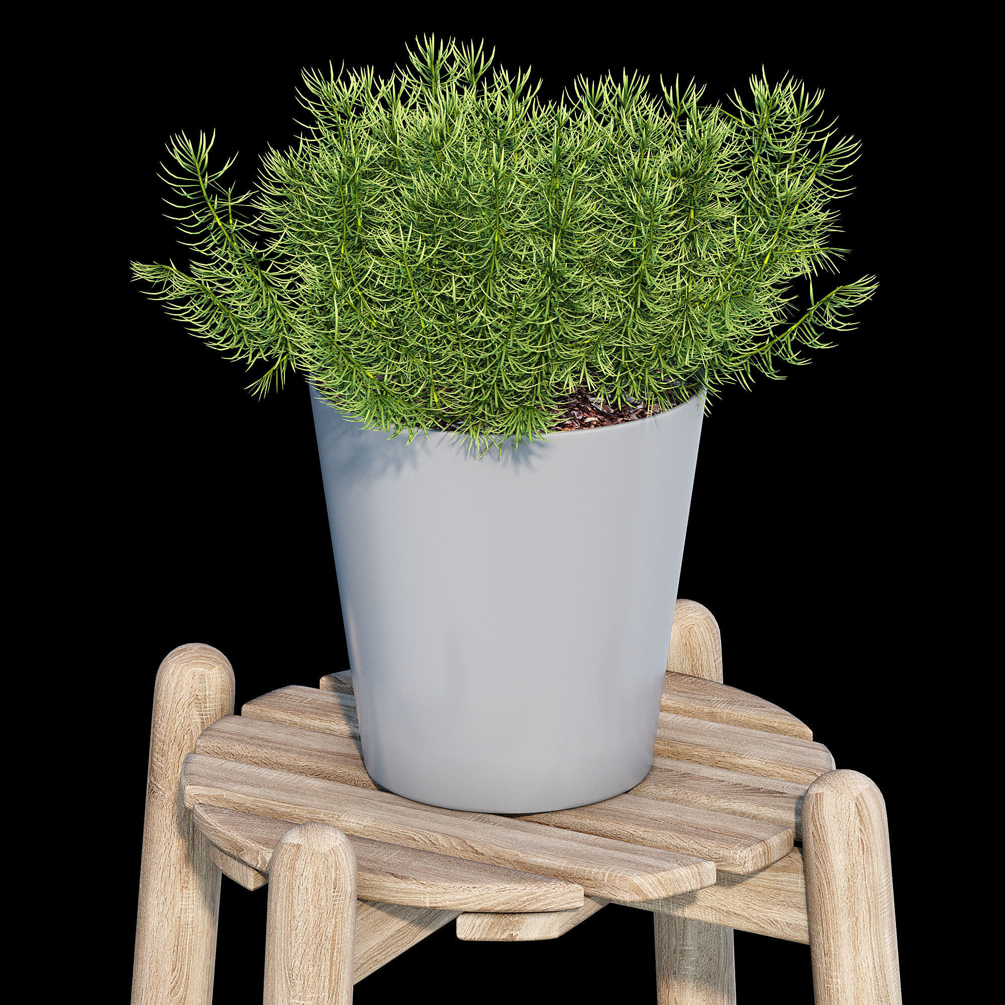 Daksjus plant stand 3D model_13