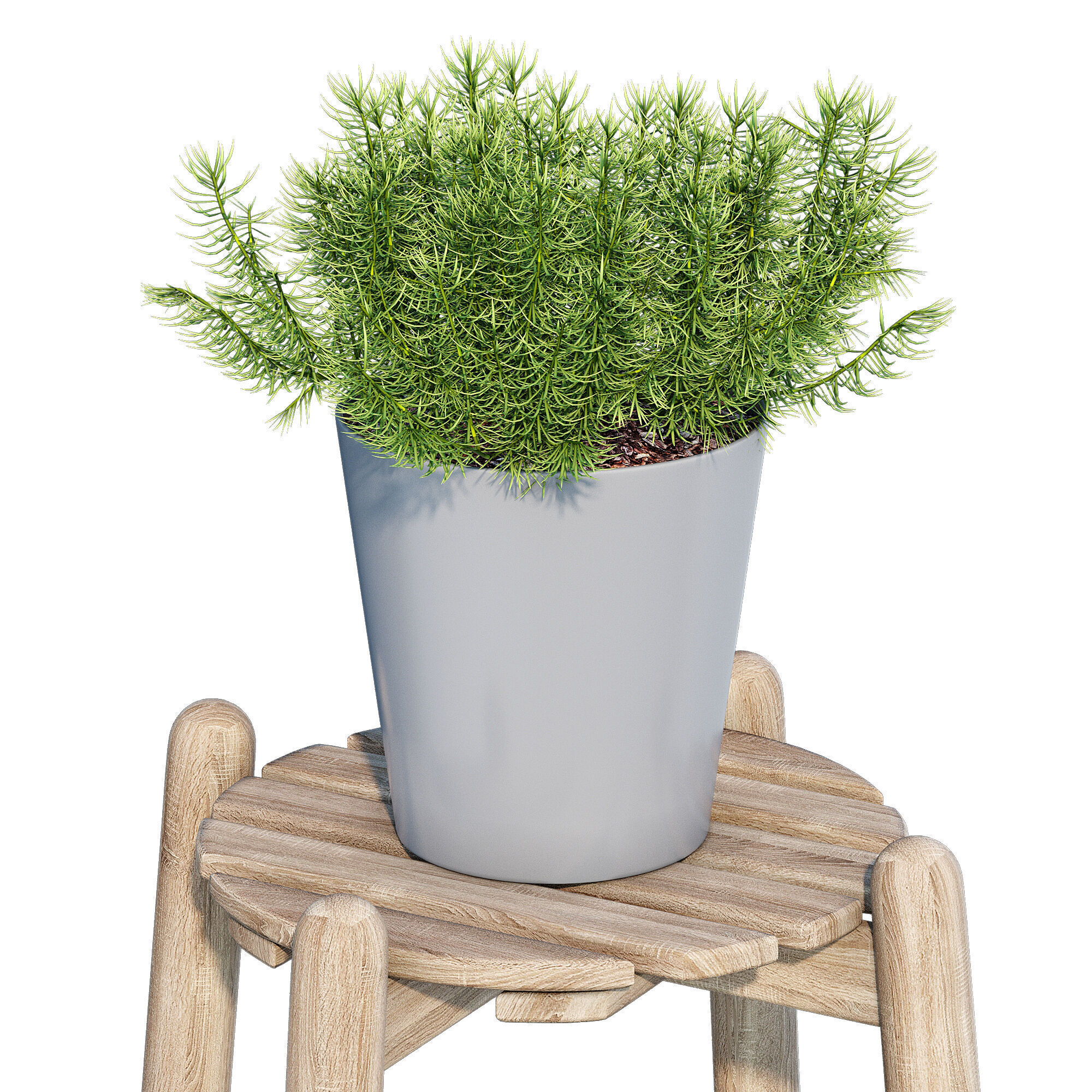 Daksjus plant stand 3D model_5