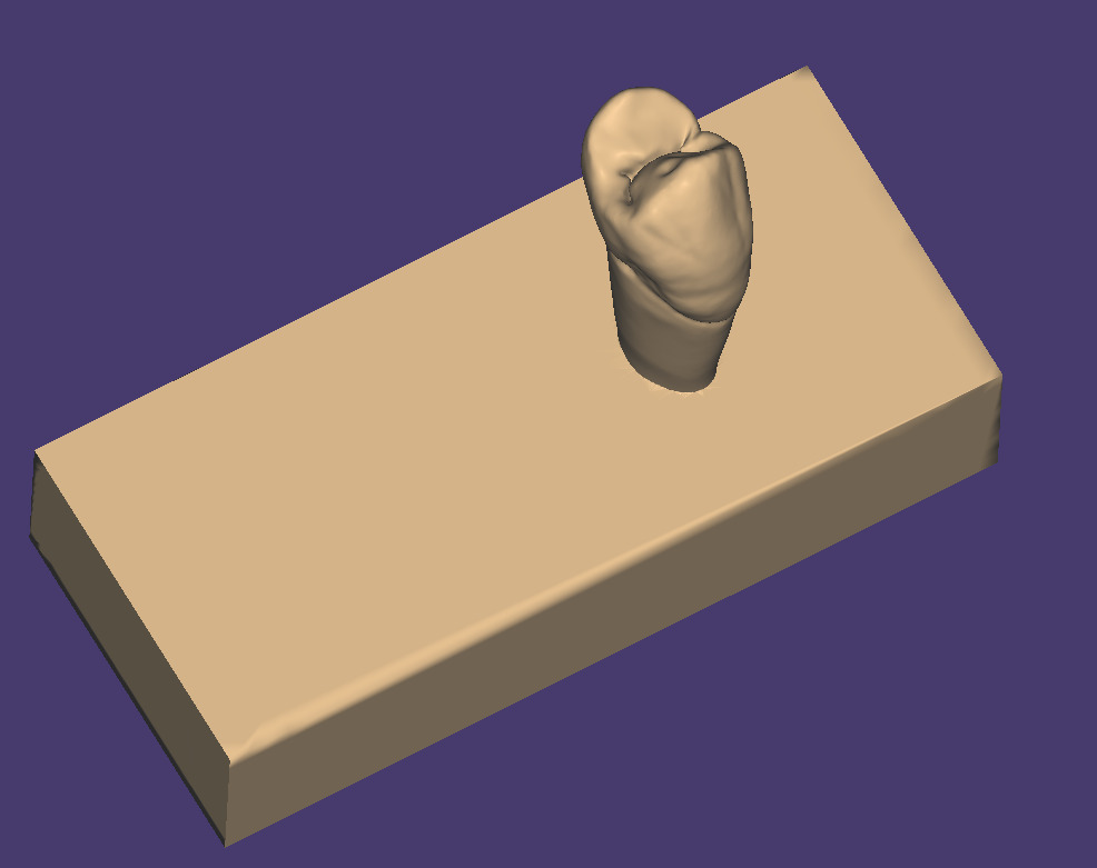 Dental Carving model for Upper first premolar 3D model_4