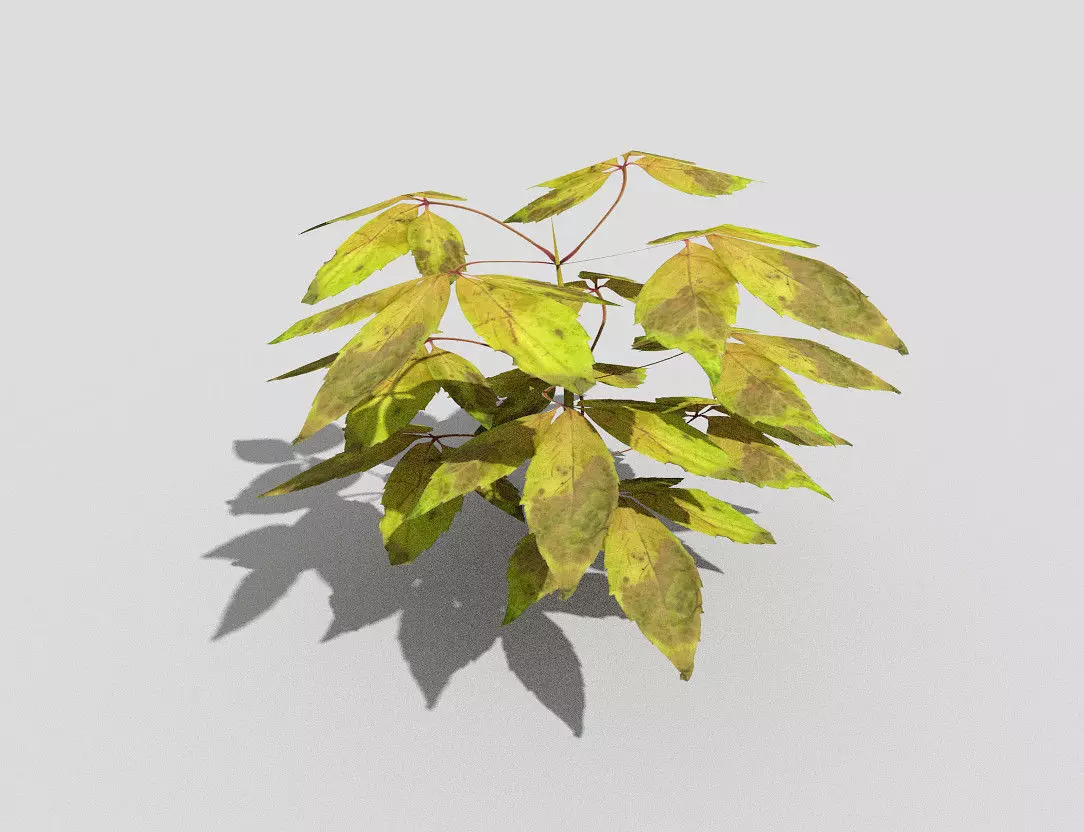 Low poly Plant Low-poly 3D model