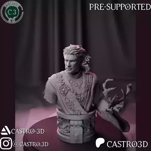 Gale - The Waterdeep Mage - Baldurs Gate 3 Bust Collection 3D print model